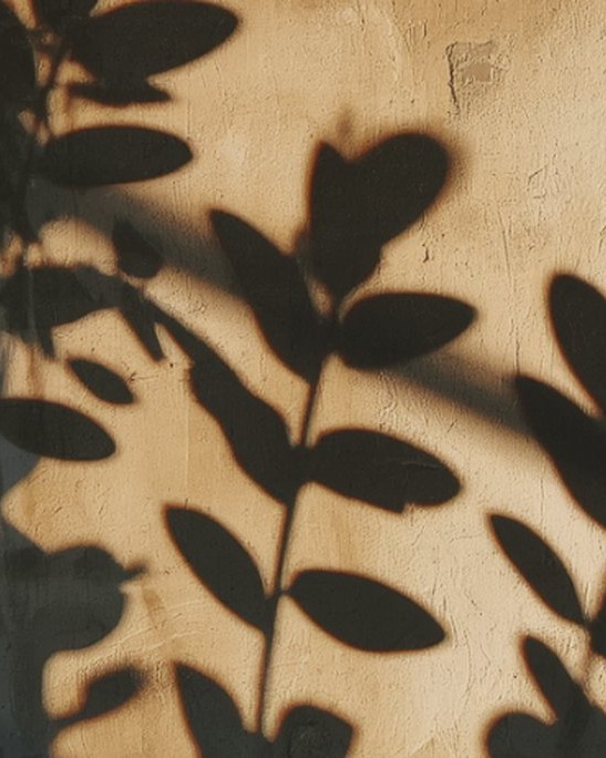 Warmes Licht und Blattschatten an einer Wand als ruhiges Sinnbild für Klarheit und Fürsorge